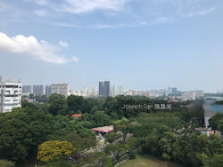 viz-at-holland photo thumbnail #11